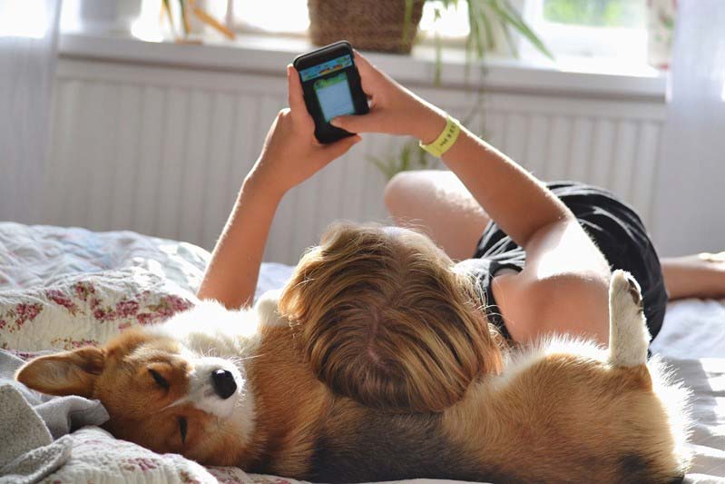 Girl with dog and phone