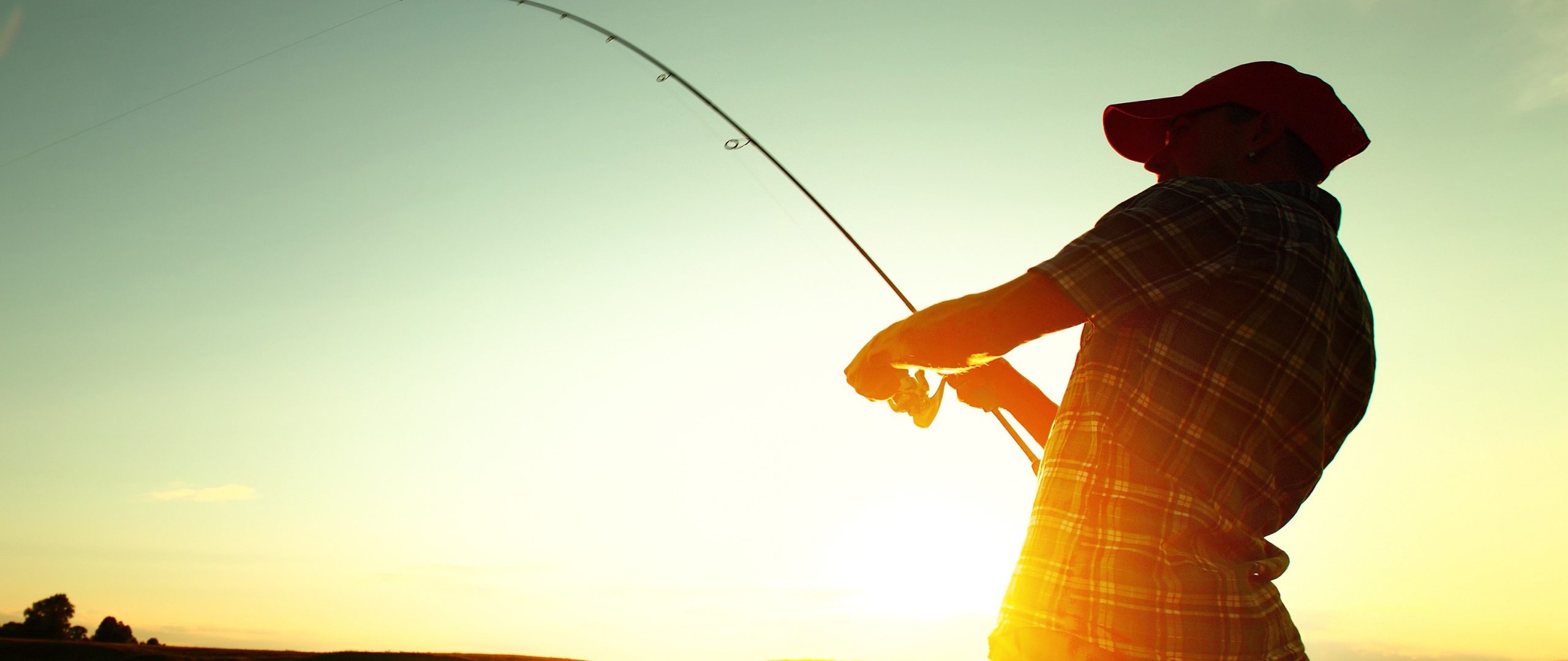 Man fishing silhouette
