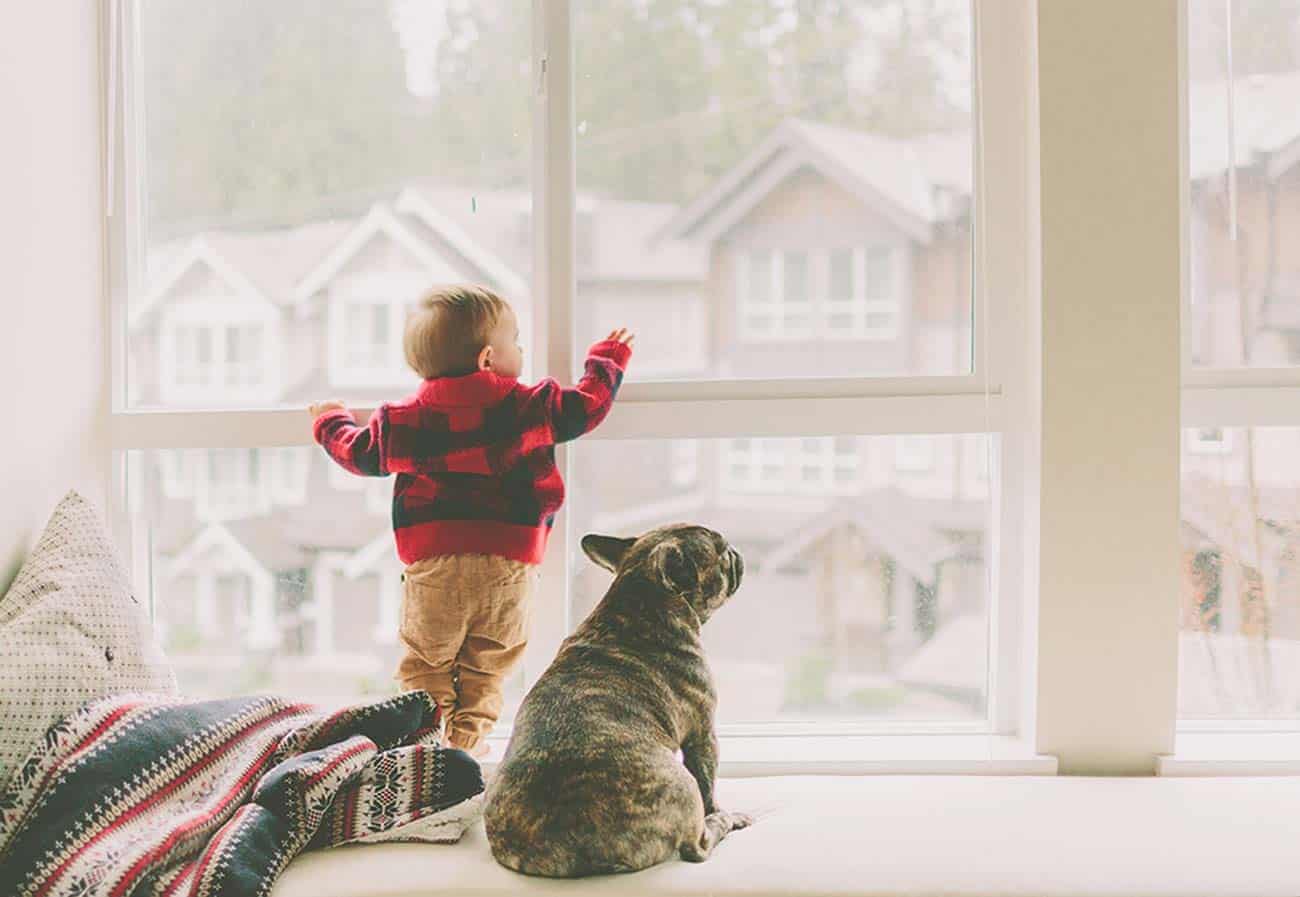 young child with dog looking outside a window