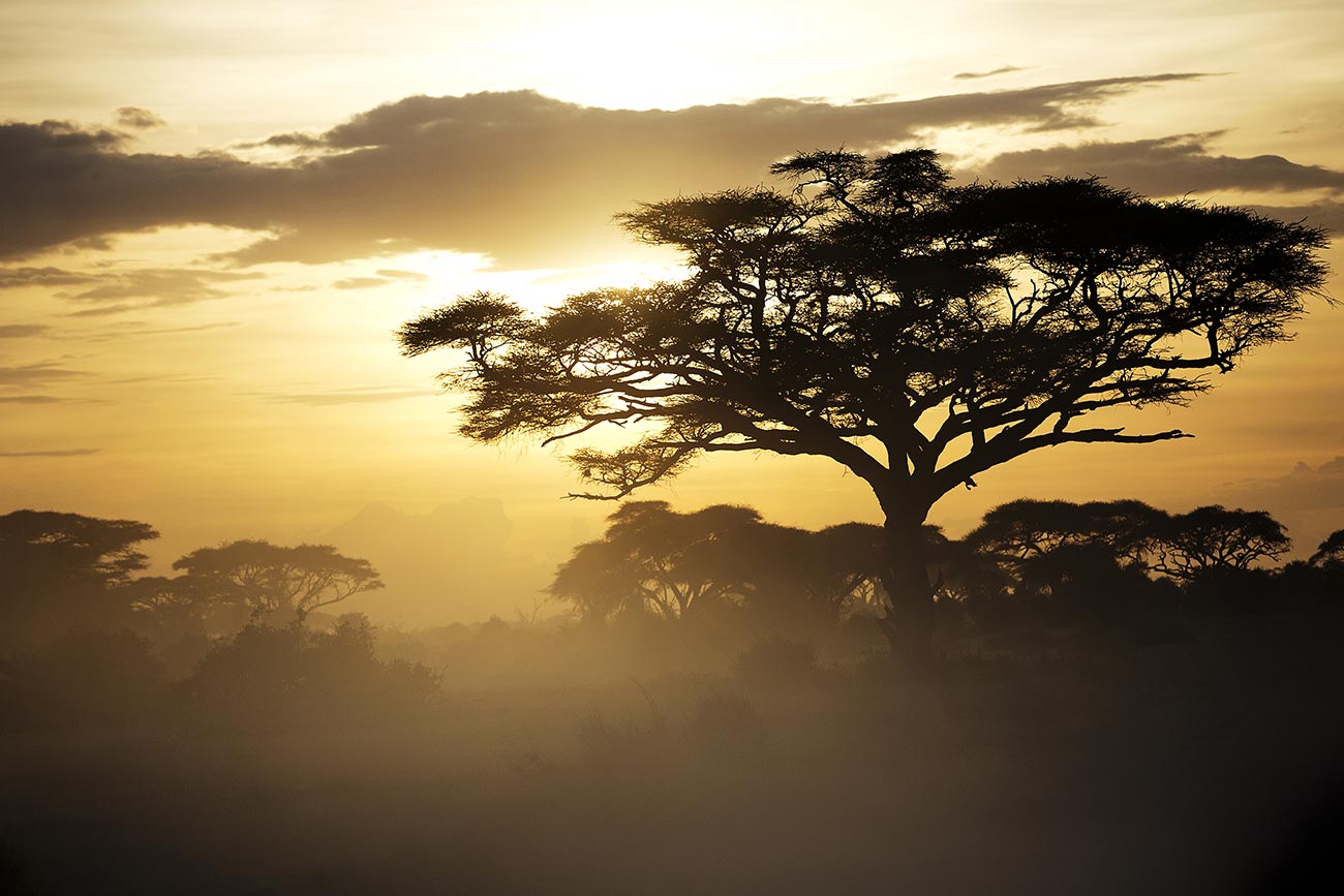 Beautiful sunset in Amboseli National park