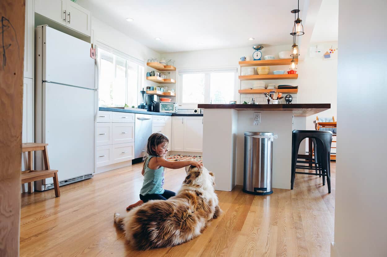 child playing with dog on the kitchen floor