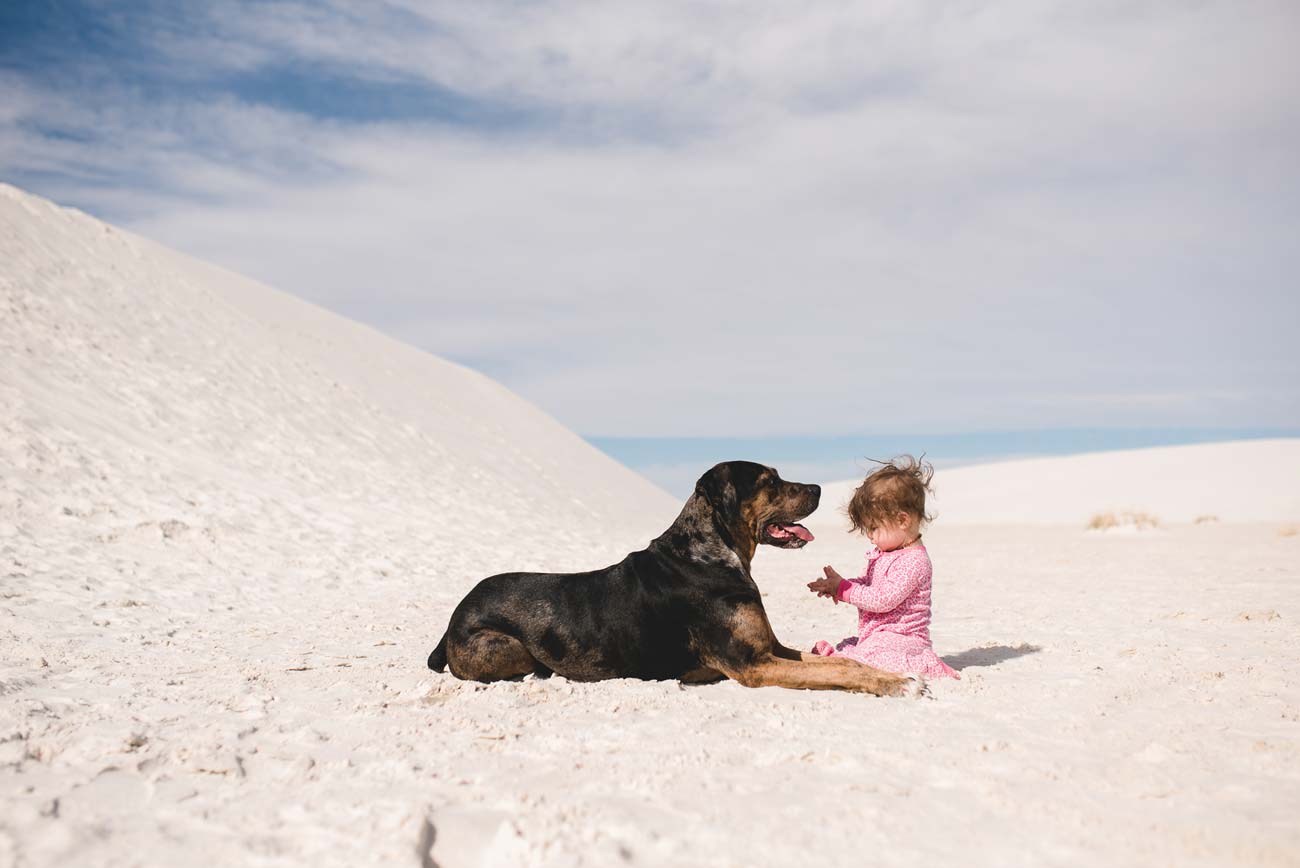 baby girl with dog on the beach